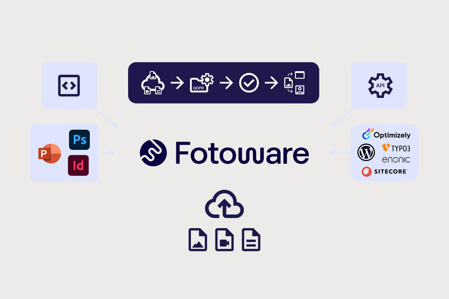 digital asset management