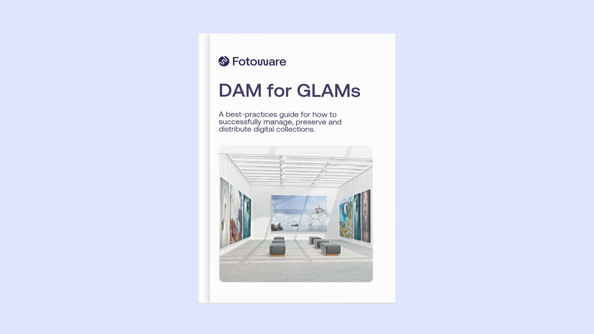 dam-for-glams-featured-image