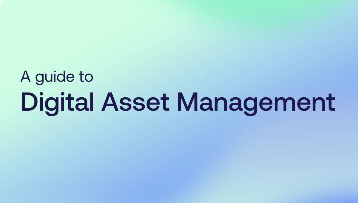 Digital Asset Management guide